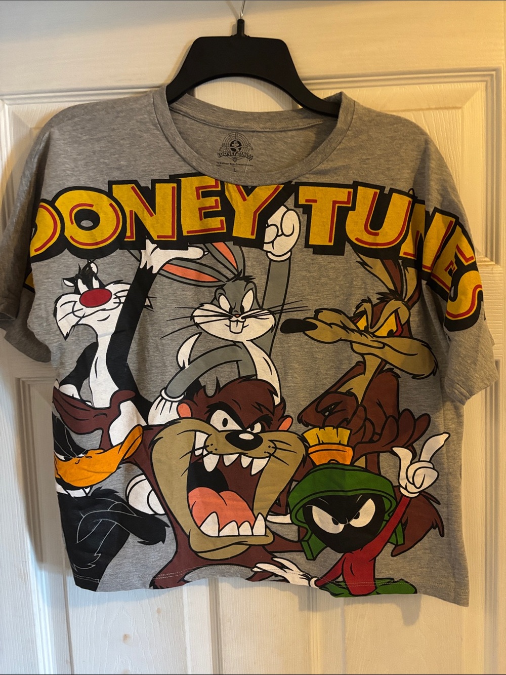 Warner Bros. Grey Looney Tunes Graphic Tee with Multi-Color Characters Crop Top